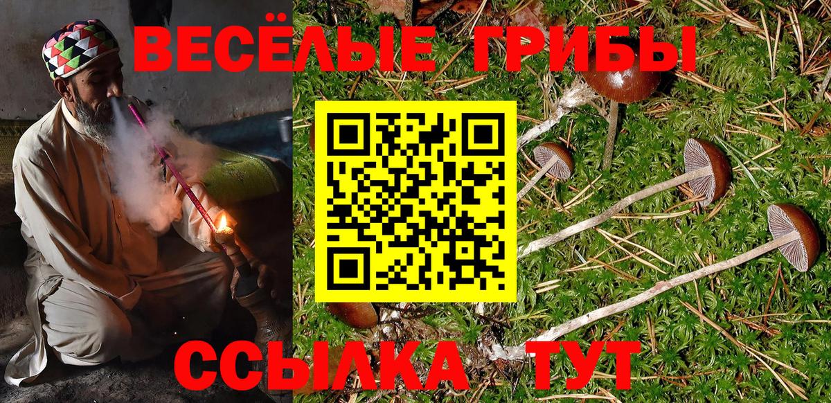 Галлюциногенные грибы Psilocybine cubensis  Вход с VPN  Можга 